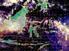Asap Kebakaran Hutan Capai Jakarta, BMKG Jelaskan Pola Pergerakan