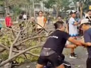 Dua Warga Terluka Usai Pohon Tumbang Timpa di Summarecon Bekasi