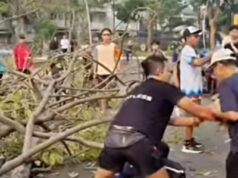 Dua Warga Terluka Usai Pohon Tumbang Timpa di Summarecon Bekasi