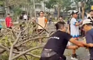 Dua Warga Terluka Usai Pohon Tumbang Timpa di Summarecon Bekasi