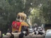 Gajah Mengamuk Rusak Mobil Usai Dipaksa Tuntun Kuil 650 Kg di Festival India
