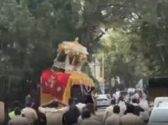 Gajah Mengamuk Rusak Mobil Usai Dipaksa Tuntun Kuil 650 Kg di Festival India