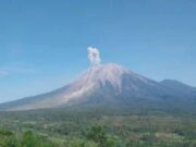 Gunung Semeru Erupsi Lima Kali dalam Sehari, Status Tetap Siaga