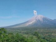 Gunung Semeru Meletus, Kolom Abu Capai 800 Meter di Atas Puncak