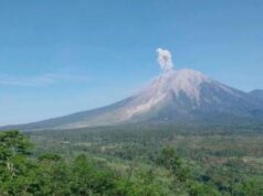 Gunung Semeru Meletus, Kolom Abu Capai 800 Meter di Atas Puncak