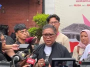 Hasto Ungkap Kebijakan Megawati Lindungi Hutan Bekas Karhutla dari Sawit