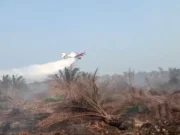 Indonesia Prioritaskan Sumber Daya Sendiri Atasi Karhutla