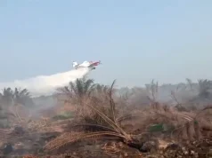 Indonesia Prioritaskan Sumber Daya Sendiri Atasi Karhutla