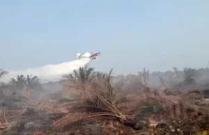 Indonesia Prioritaskan Sumber Daya Sendiri Atasi Karhutla