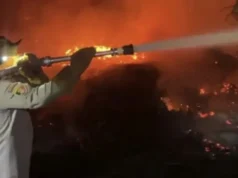 Kebakaran Lahan Sitaan Satgas PKH di Kalteng Masih Meluas