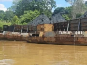 Kejagung Lelang 237 Ribu Ton Batu Bara Sitaan Kasus Samin Tan