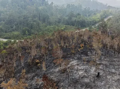 Lima Provinsi Catat Titik Panas Tertinggi, Kementan Gencar Mitigasi Karhutla