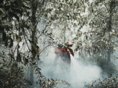 Malaysia Akan Dorong Penanganan Kabut Asap di KTT ASEAN Manila