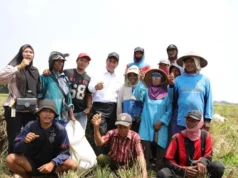 Mentan Amran Raih Kinerja Terbaik di Berbagai Survei Kinerja Menteri