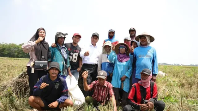 Mentan-Amran-Raih-Kinerja-Terbaik-di-Berbagai-Survei-Kinerja-Menteri