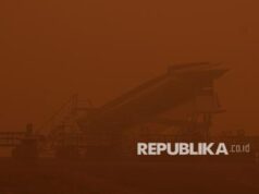 Menteri Singapura Tuding Praktik Bisnis Tak Bertanggung Jawab Picu Kebakaran Hutan Indonesia