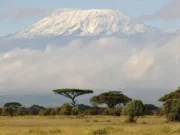 Pendaki Pertama Capai Puncak Kilimanjaro pada 6 Oktober 1889