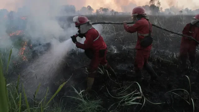 Perusahaan-Dibidik-sebagai-Biang-Kerok-Karhutla-Kapolri-Segera-Ada-Tersangka