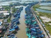 Petani dan Nelayan Akan Raih Manfaat Pembiayaan Karbon