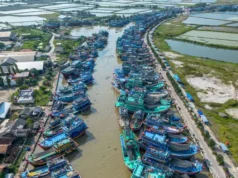 Petani dan Nelayan Akan Raih Manfaat Pembiayaan Karbon