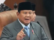 Presiden Prabowo Gelar Jamuan Makan Malam untuk Wakil PM Rusia di Istana Bogor