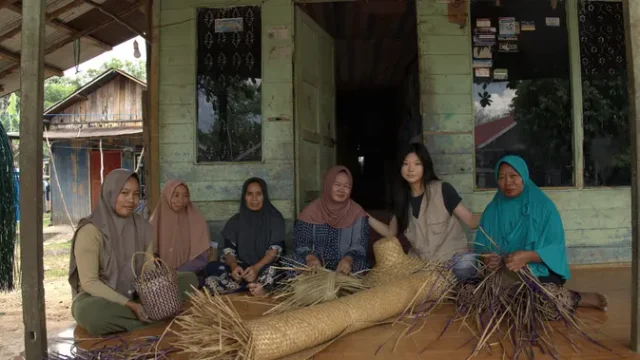 Purun-Dijadikan-Tech-Organizer-Selamatkan-Gambut-Kalimantan