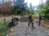 Bergotong Royong, Satgas TMMD ke-130 Kodim 1808/Mansel Bersama Masyarakat Membangun Jalan