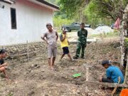Penuh Kepedulian, Satgas TMMD ke-130 Bangun Rumah Warga Kampung Yamboi