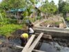 Tanpa Libur Personel Satgas TMMD Ke-130 Terus Bekerja : Progres Jembatan Kampung Yamboi Capai 45 Persen